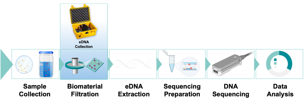 eDNA Filtration System