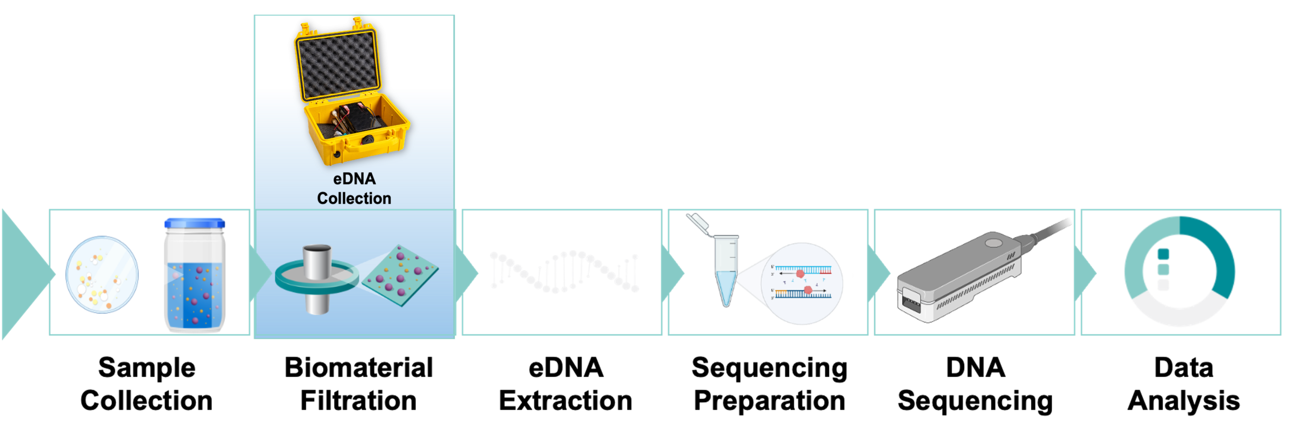 eDNA Filtration System